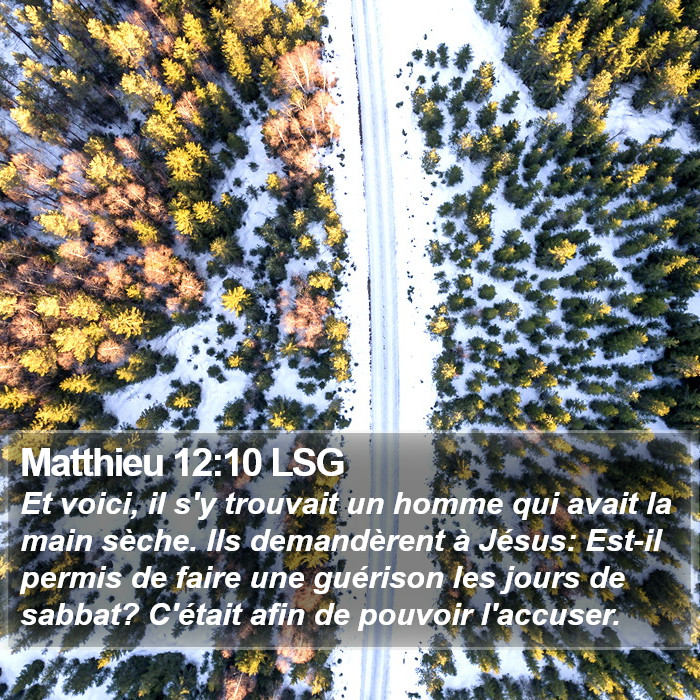 Matthieu 12:10 LSG Bible Study