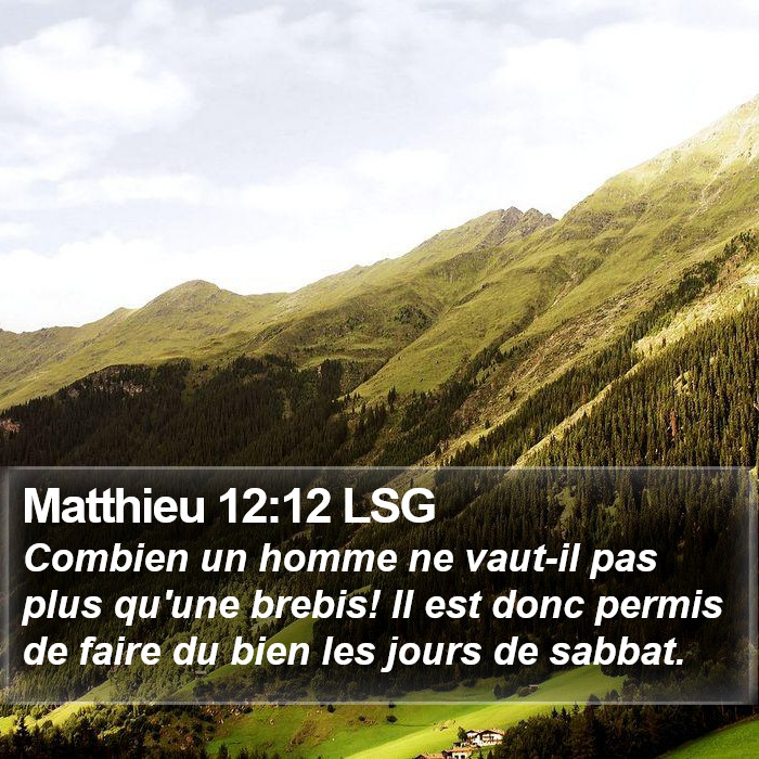 Matthieu 12:12 LSG Bible Study