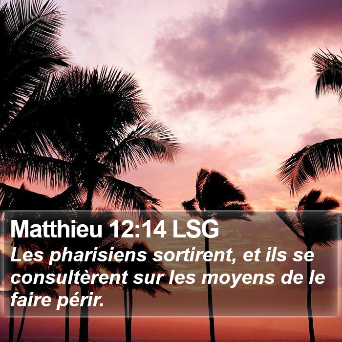 Matthieu 12:14 LSG Bible Study