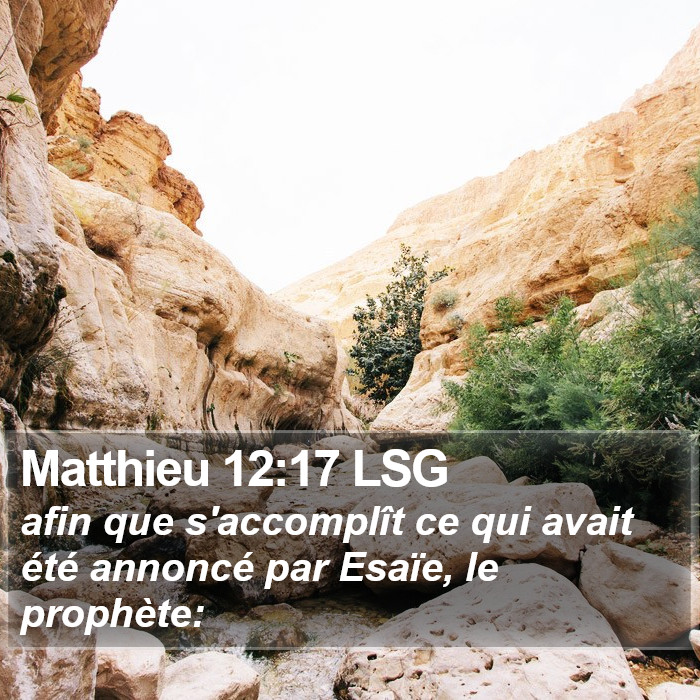 Matthieu 12:17 LSG Bible Study