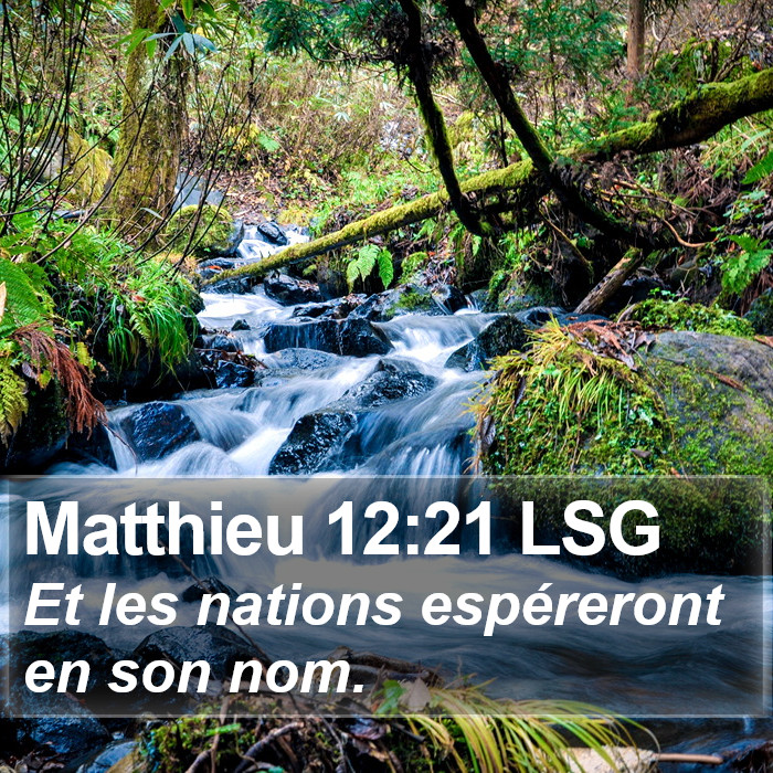 Matthieu 12:21 LSG Bible Study