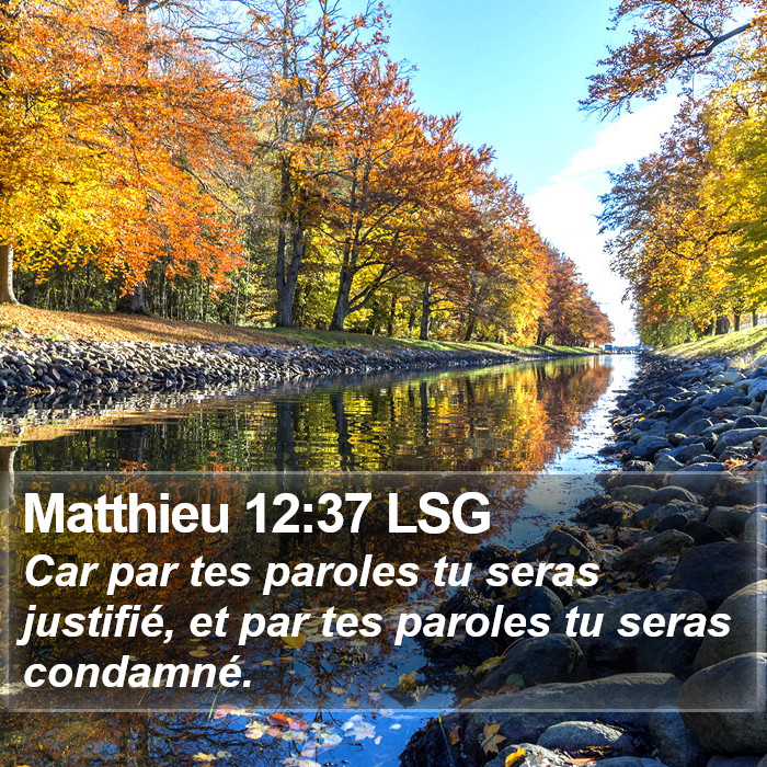 Matthieu 12:37 LSG Bible Study