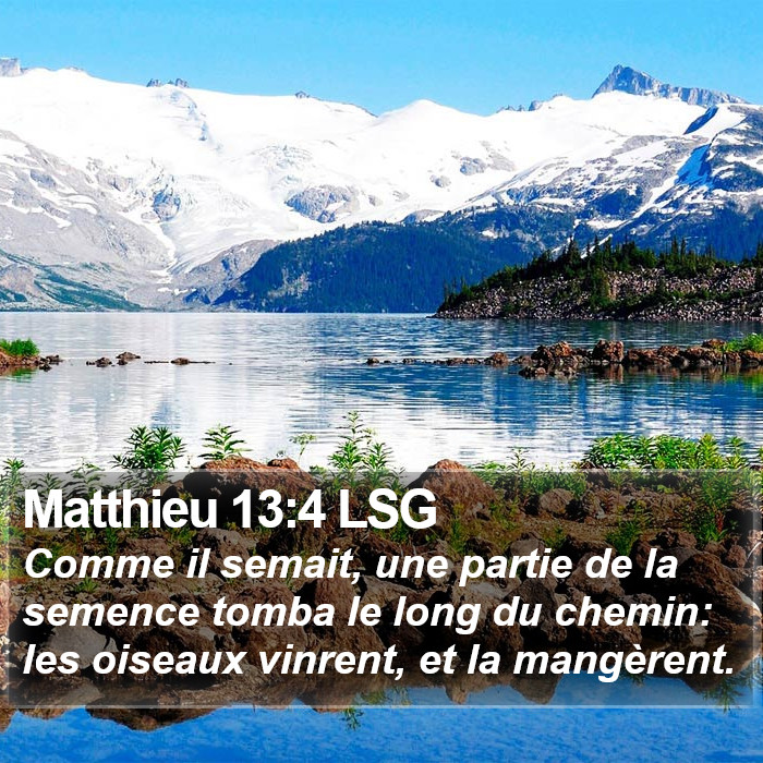 Matthieu 13:4 LSG Bible Study