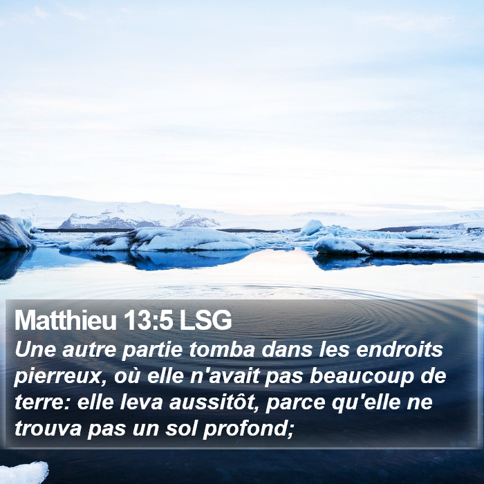 Matthieu 13:5 LSG Bible Study