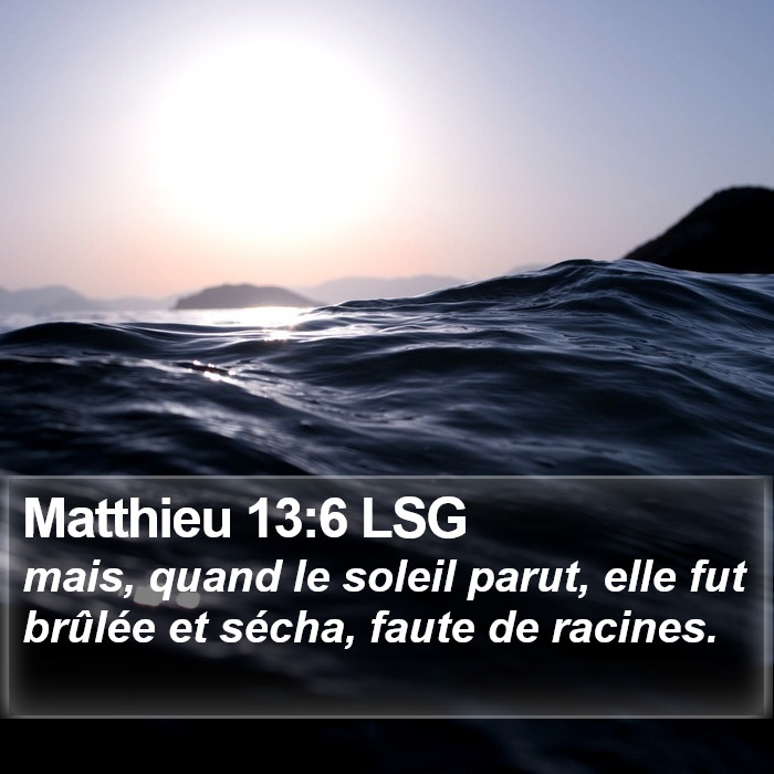 Matthieu 13:6 LSG Bible Study