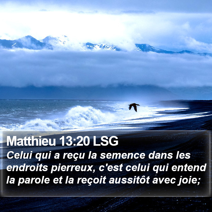 Matthieu 13:20 LSG Bible Study