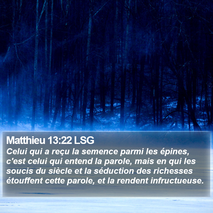 Matthieu 13:22 LSG Bible Study