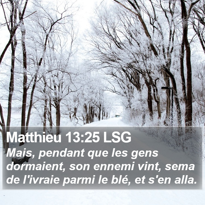 Matthieu 13:25 LSG Bible Study
