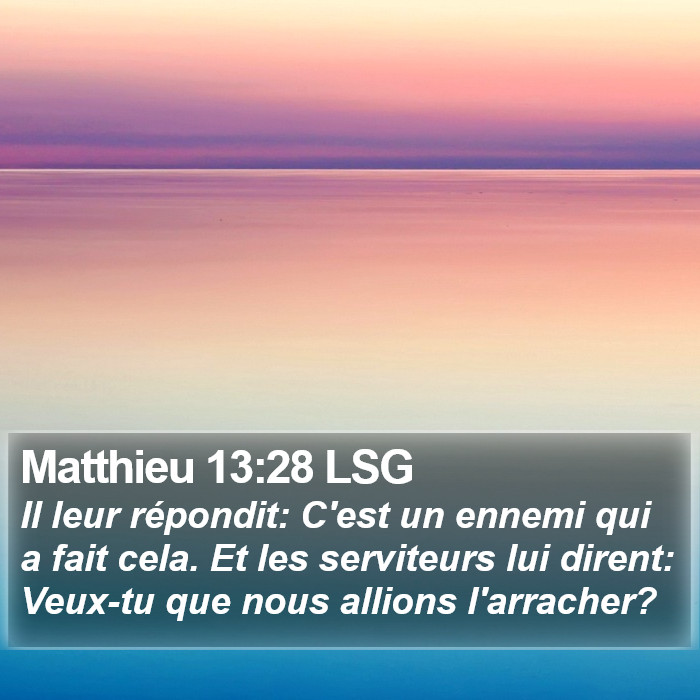 Matthieu 13:28 LSG Bible Study
