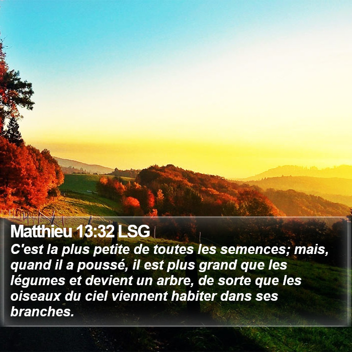 Matthieu 13:32 LSG Bible Study