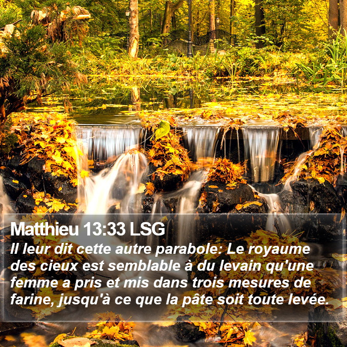 Matthieu 13:33 LSG Bible Study