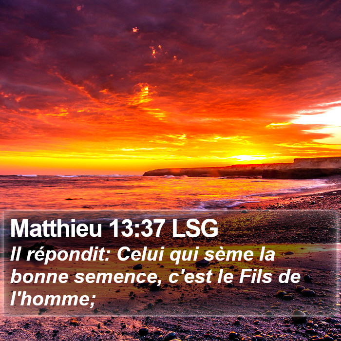 Matthieu 13:37 LSG Bible Study