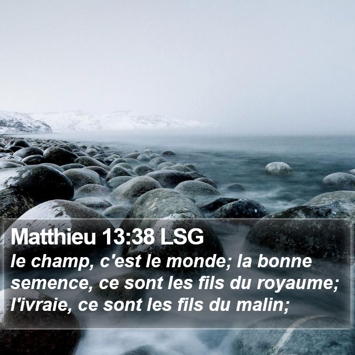 Matthieu 13:38 LSG Bible Study