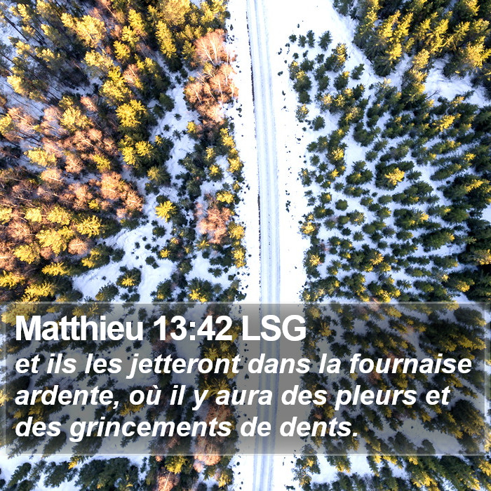 Matthieu 13:42 LSG Bible Study