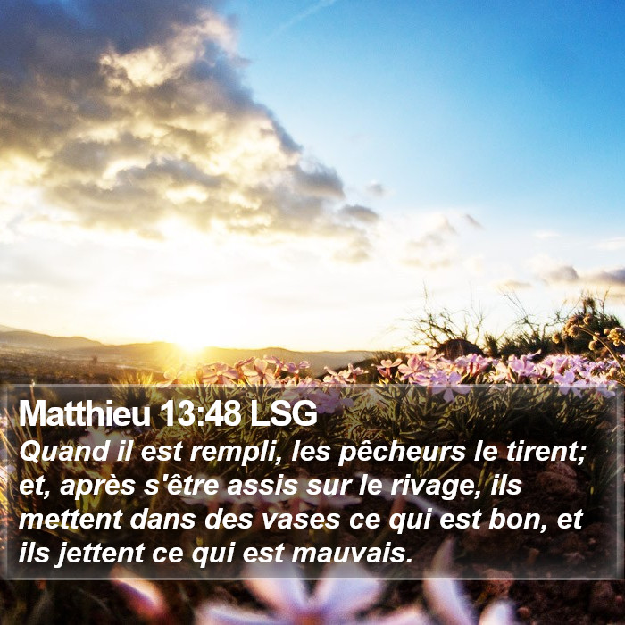 Matthieu 13:48 LSG Bible Study