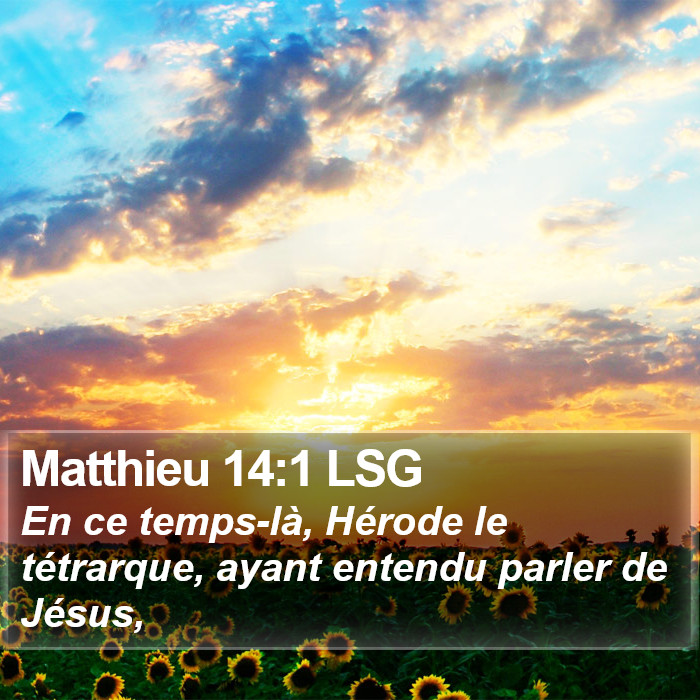 Matthieu 14:1 LSG Bible Study