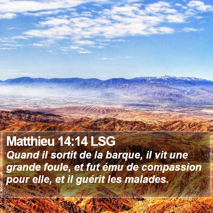 Matthieu 14:14 LSG Bible Study