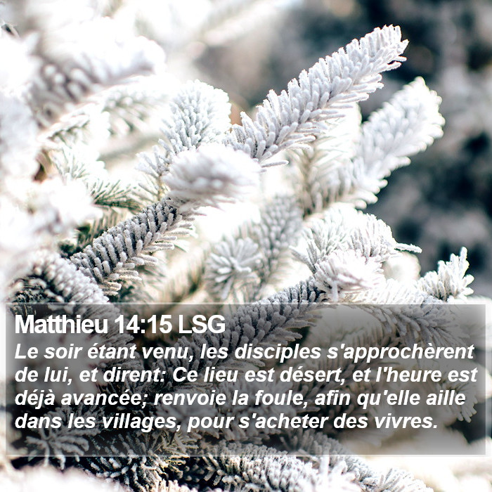 Matthieu 14:15 LSG Bible Study