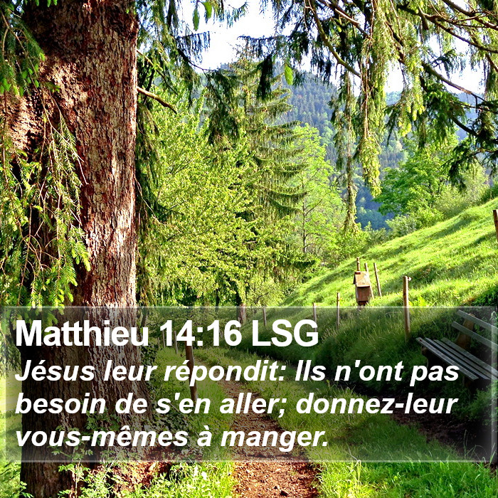 Matthieu 14:16 LSG Bible Study