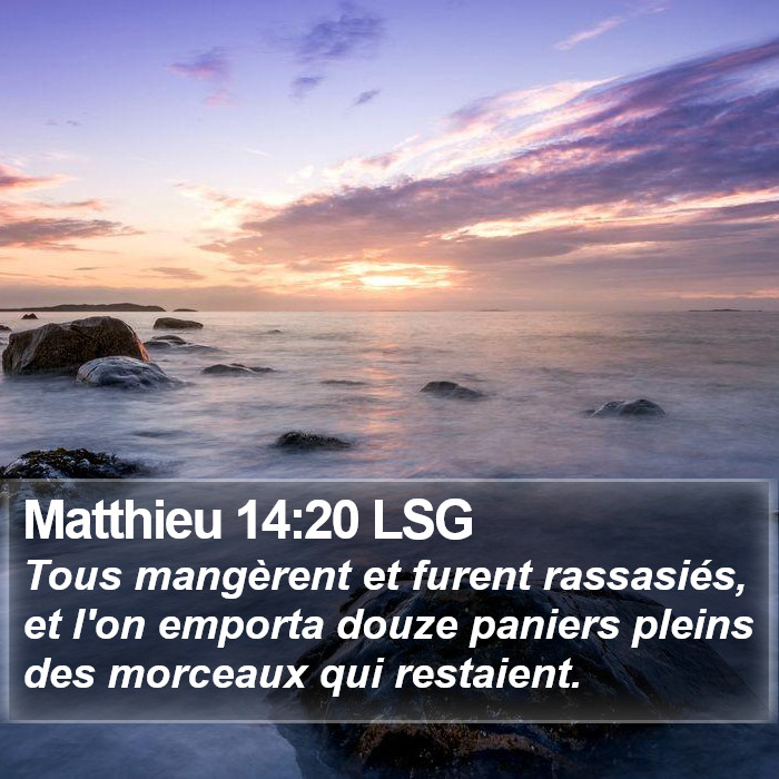 Matthieu 14:20 LSG Bible Study
