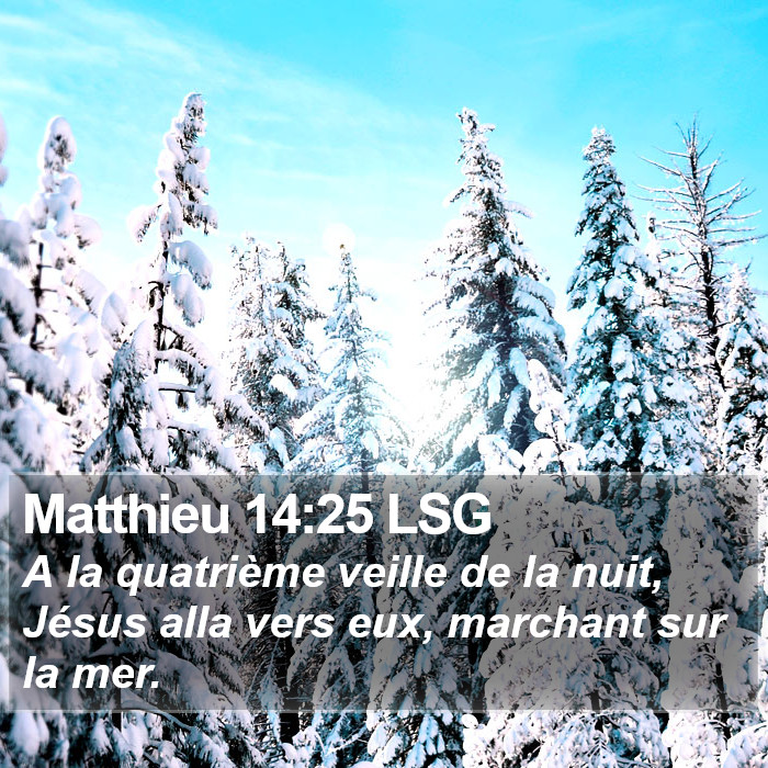 Matthieu 14:25 LSG Bible Study