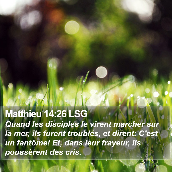 Matthieu 14:26 LSG Bible Study