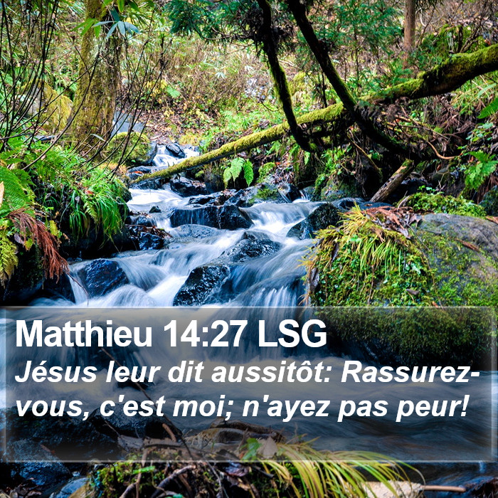 Matthieu 14:27 LSG Bible Study