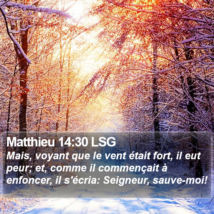 Matthieu 14:30 LSG Bible Study