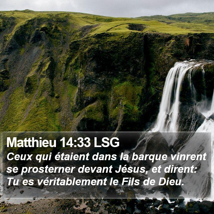 Matthieu 14:33 LSG Bible Study