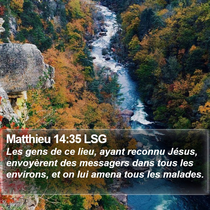 Matthieu 14:35 LSG Bible Study