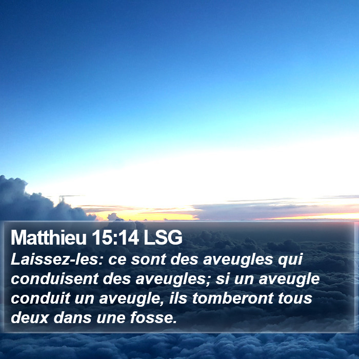 Matthieu 15:14 LSG Bible Study