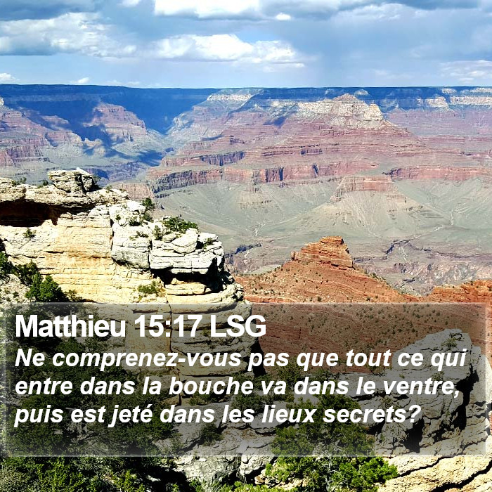 Matthieu 15:17 LSG Bible Study