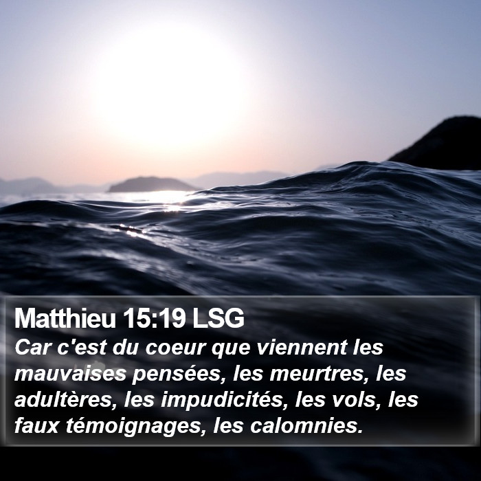 Matthieu 15:19 LSG Bible Study