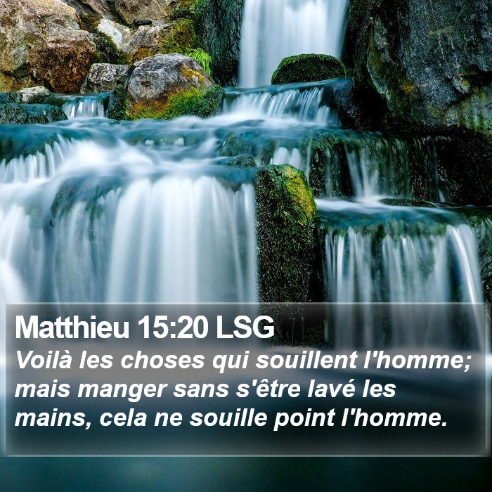 Matthieu 15:20 LSG Bible Study