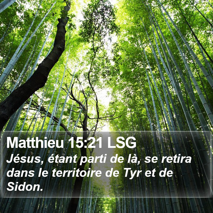 Matthieu 15:21 LSG Bible Study