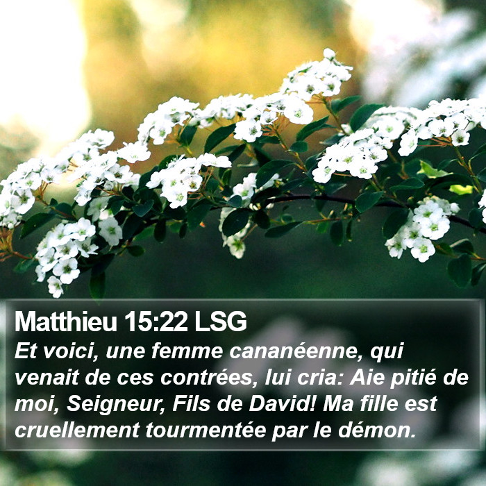 Matthieu 15:22 LSG Bible Study