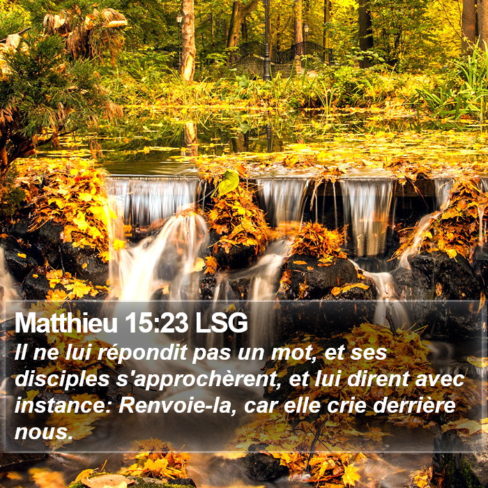 Matthieu 15:23 LSG Bible Study