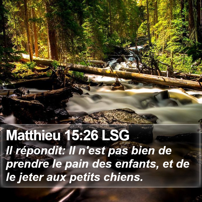 Matthieu 15:26 LSG Bible Study