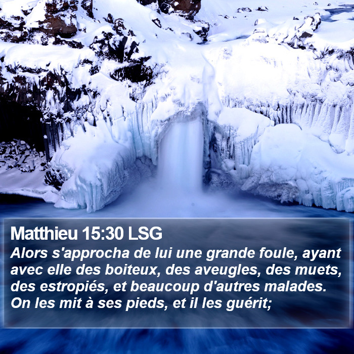 Matthieu 15:30 LSG Bible Study