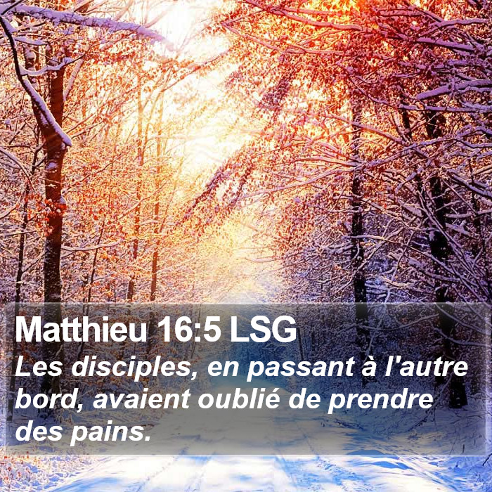 Matthieu 16:5 LSG Bible Study