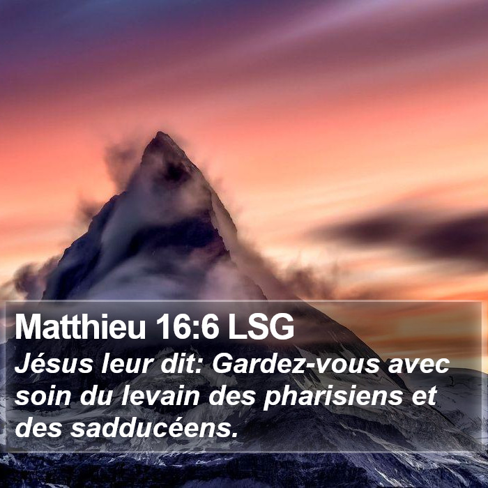 Matthieu 16:6 LSG Bible Study