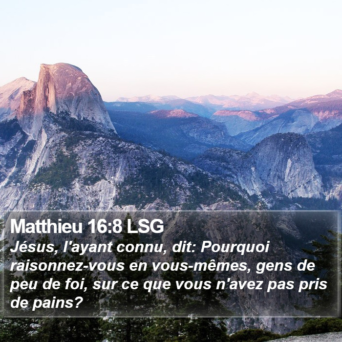 Matthieu 16:8 LSG Bible Study