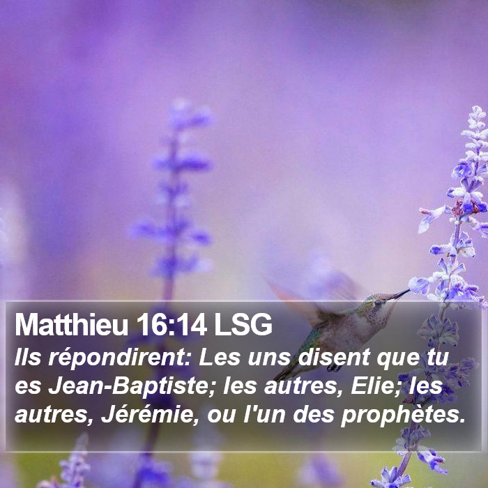Matthieu 16:14 LSG Bible Study