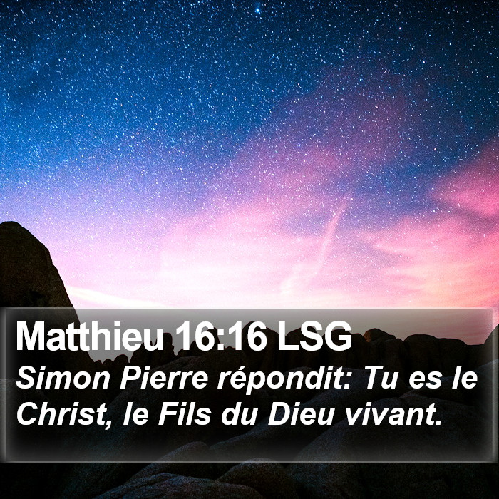 Matthieu 16:16 LSG Bible Study