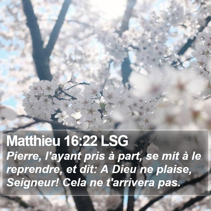Matthieu 16:22 LSG Bible Study