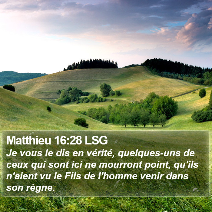 Matthieu 16:28 LSG Bible Study