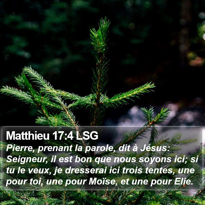 Matthieu 17:4 LSG Bible Study