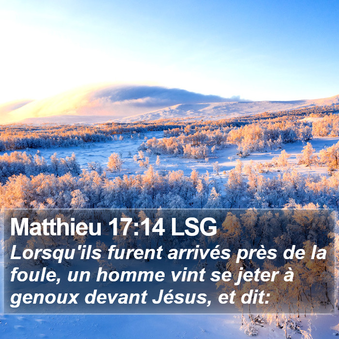 Matthieu 17:14 LSG Bible Study