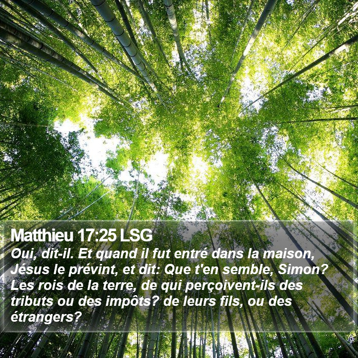 Matthieu 17:25 LSG Bible Study