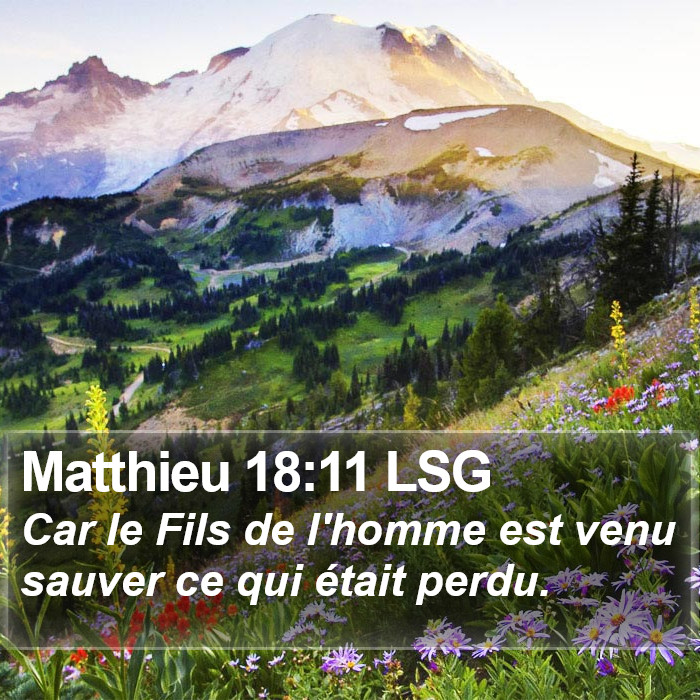 Matthieu 18:11 LSG Bible Study